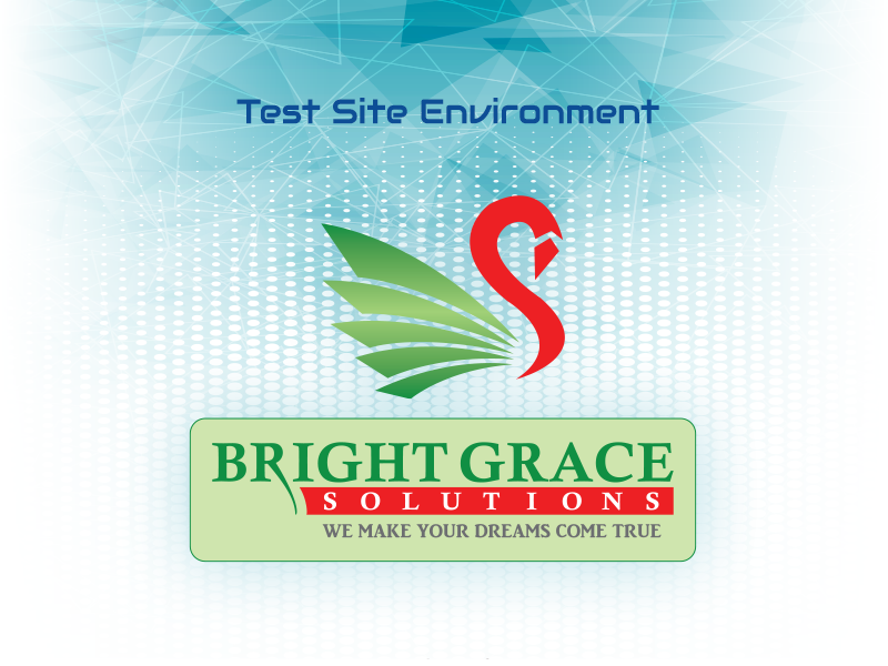 Bright Grace Solutions